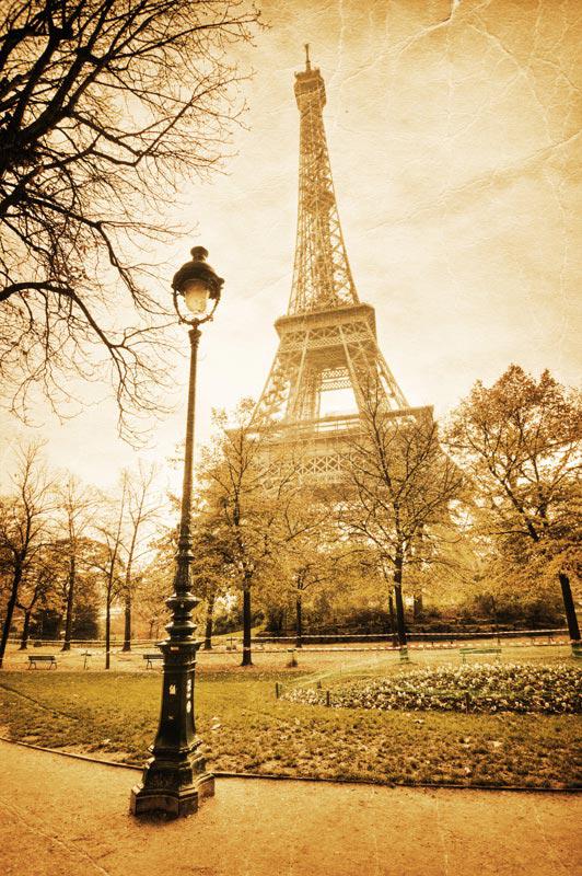 Фотошпалери та фрески — фото 5