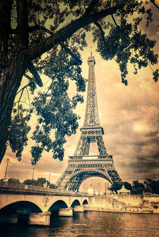 Фотошпалери та фрески — фото 6